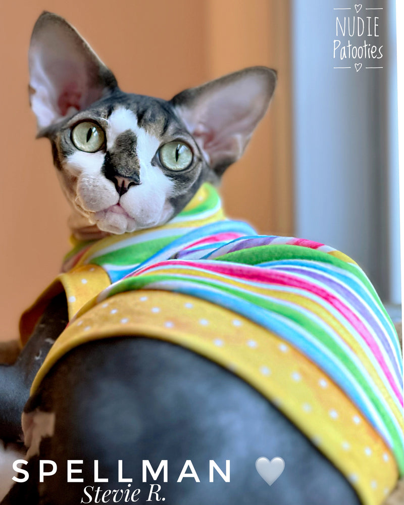 Sphynx cat and kitten bright soft shirt. Best sphynx cat and hairless cat clothes, shirts, sweaters and accessories.