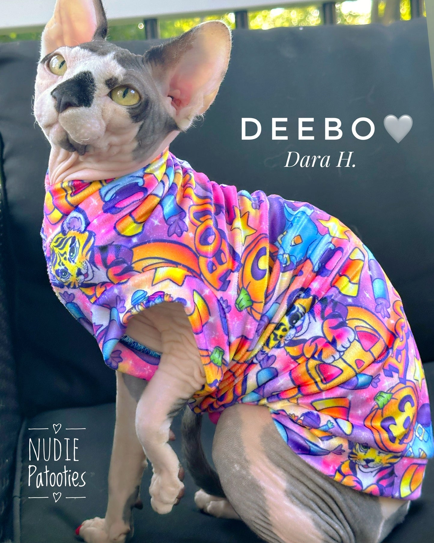 Best Sphynx cat clothing. Hairless cat apparel. Sphynx cat sweaters. Cat clothes for hairless cats. Warm sphynx cat outfits. Sphynx cat hoodies. Cozy cat wear. Cat shirts for Sphynx. Pet clothing for Sphynx cats. Winter clothes for sphynx cats. Sphynx cat fashion. Hairless cat t-shirts. Soft cat jumpers. Seasonal cat clothing.