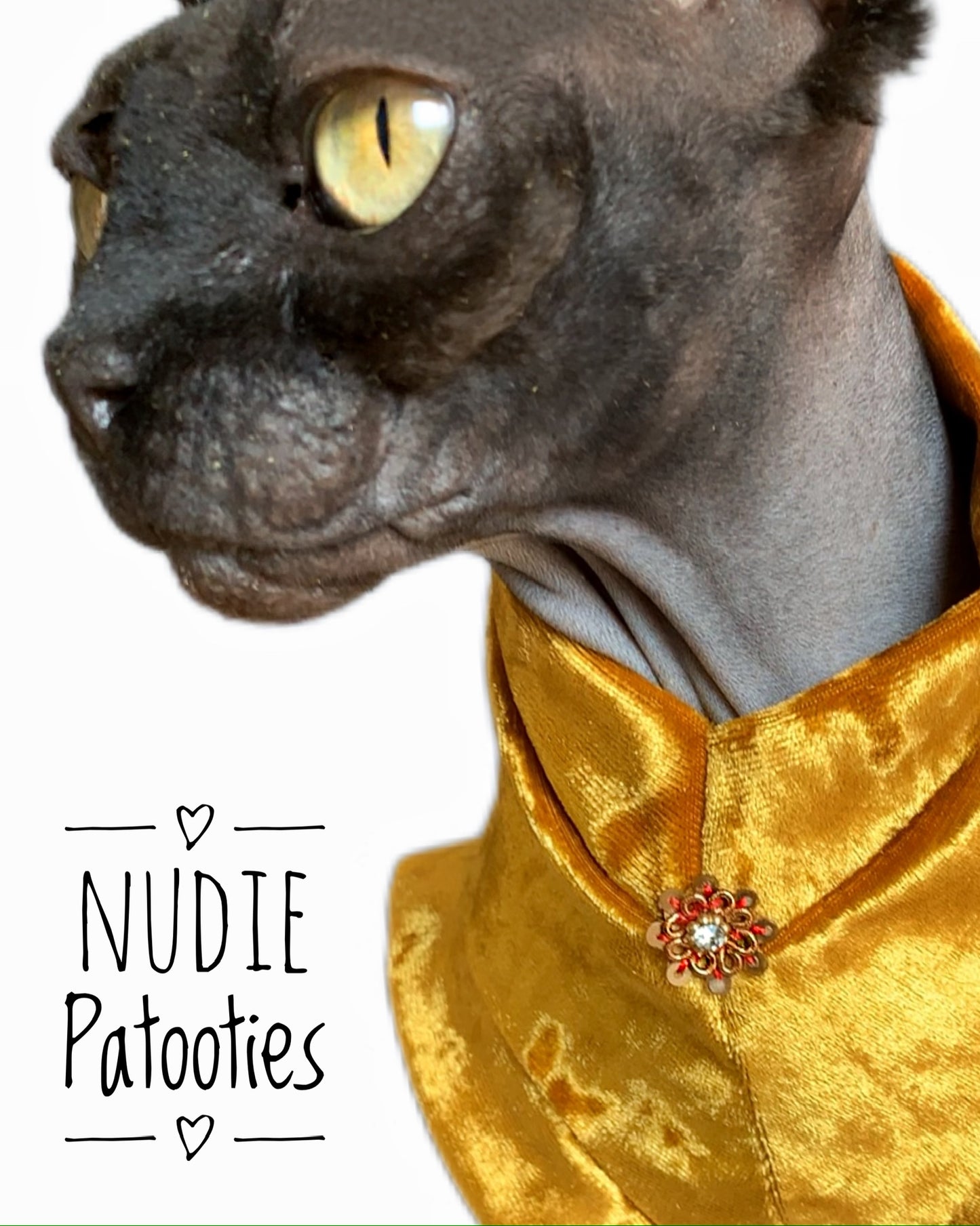 Sphynx Cat and Kitten shirt. Sphynx cat clothes.