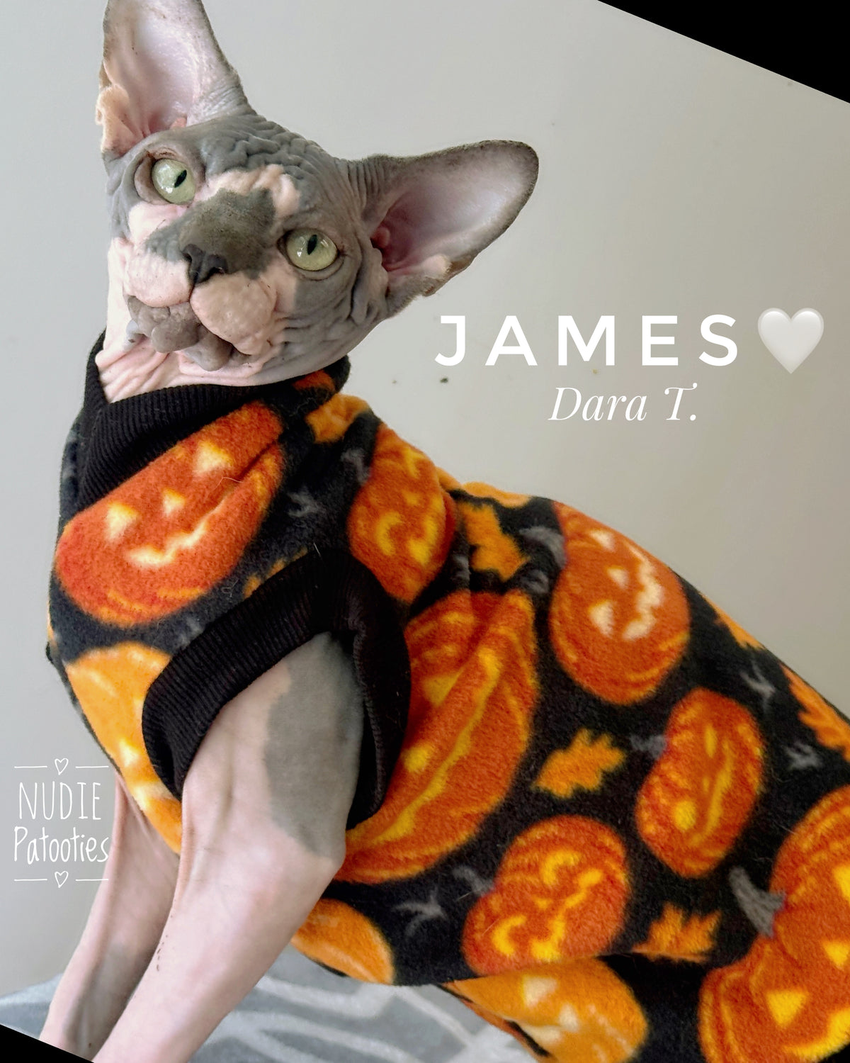 Pumpkin Patch Pals fleece Sphynx cat Halloween shirt with orange jack-o’-lantern print and black trim by Nudie Patooties