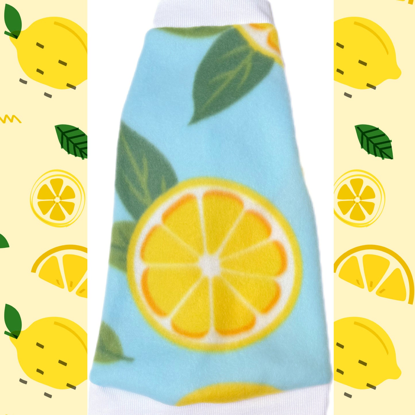 Sphynx cat and kitten warm fleece shirt. Sphynx cat and kitten shirt. Best sphynx cat and kitten clothes, shirts and swag.