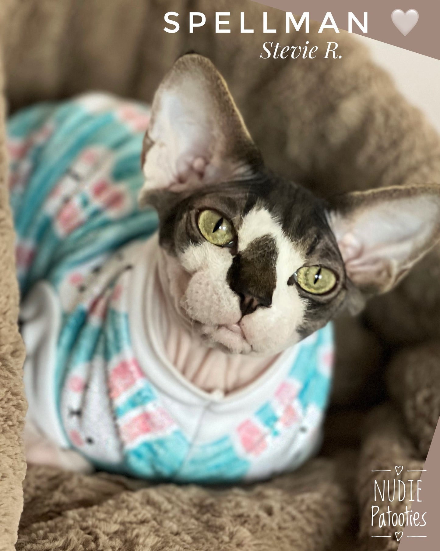 Sphynx cat Easter blue minky shirt with stripes and bunnies. Sphynx cat clothes