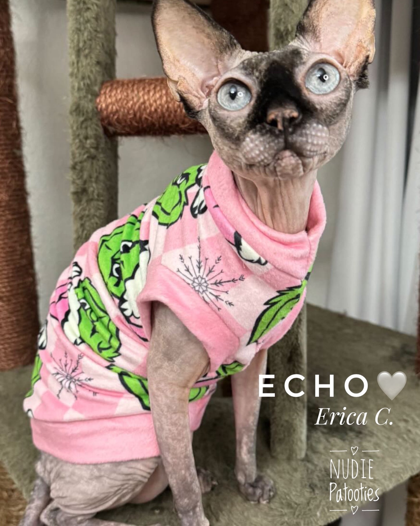 Sphynx cat and kitten Christmas shirt. Sphynx cat clothes.