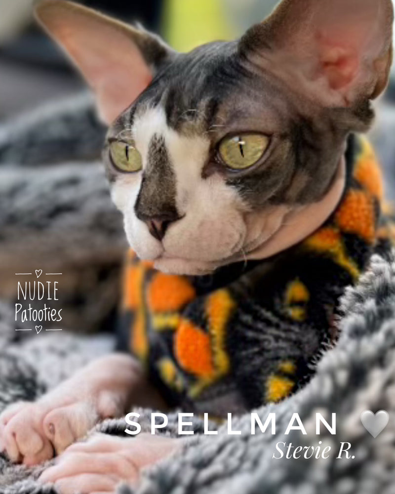 Sphynx cat and kitten warm Halloween fleece shirt. Sphynx cat clothes.