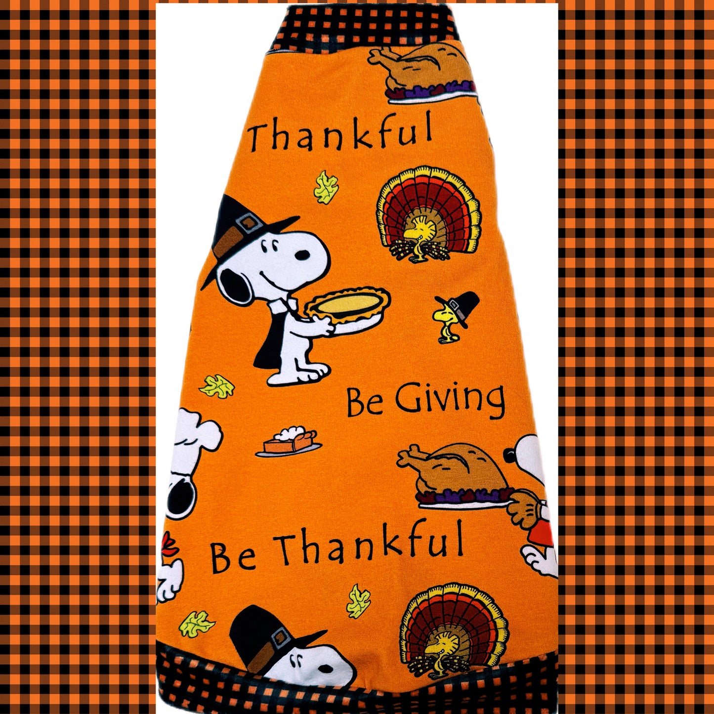 Sphynx cat and kitten shirt. Best sphynx cat and hairless cat clothes, sweaters and swag. Thanksgiving cat shirt