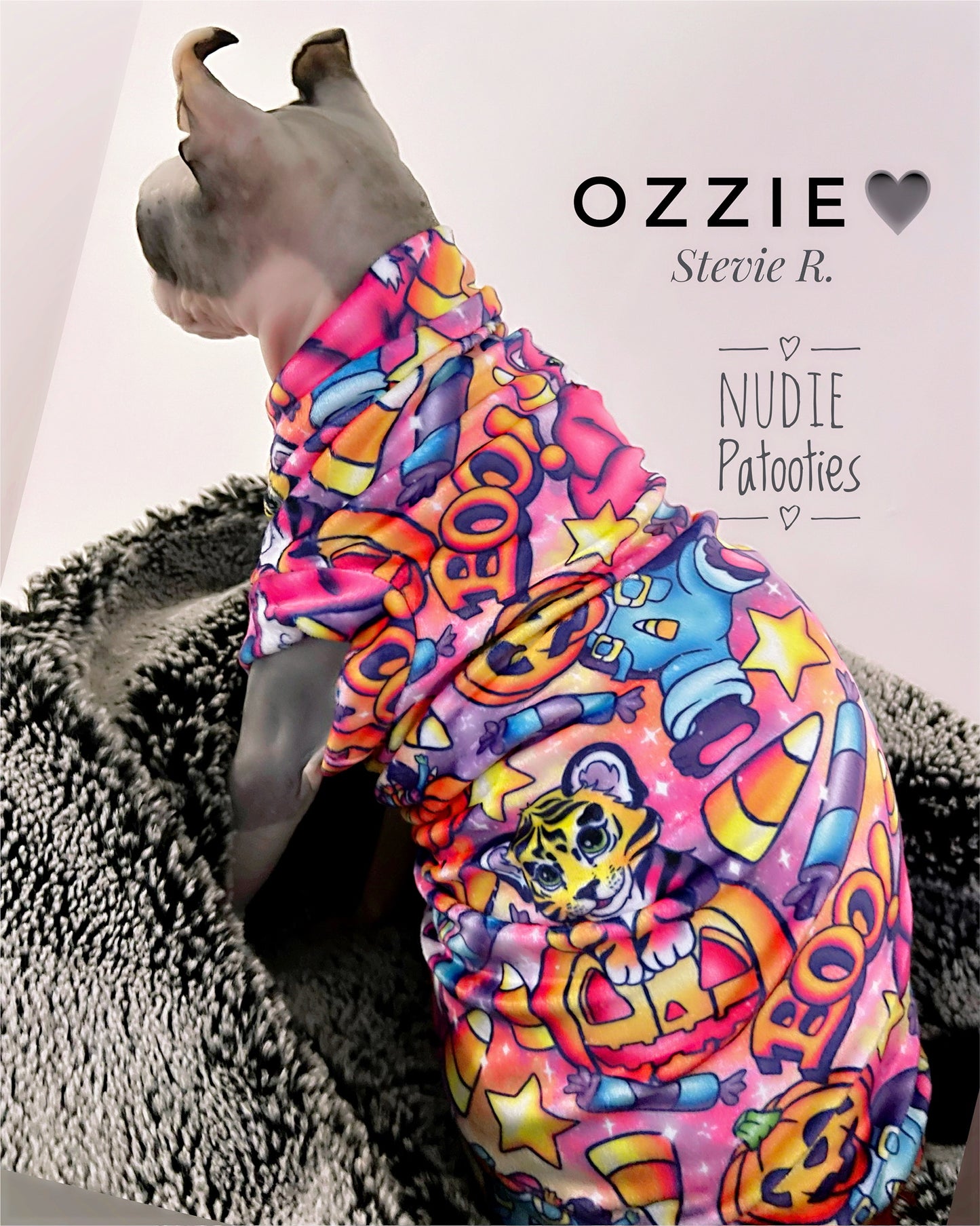 Best Sphynx cat clothing. Hairless cat apparel. Sphynx cat sweaters. Cat clothes for hairless cats. Warm sphynx cat outfits. Sphynx cat hoodies. Cozy cat wear. Cat shirts for Sphynx. Pet clothing for Sphynx cats. Winter clothes for sphynx cats. Sphynx cat fashion. Hairless cat t-shirts. Soft cat jumpers. Seasonal cat clothing.