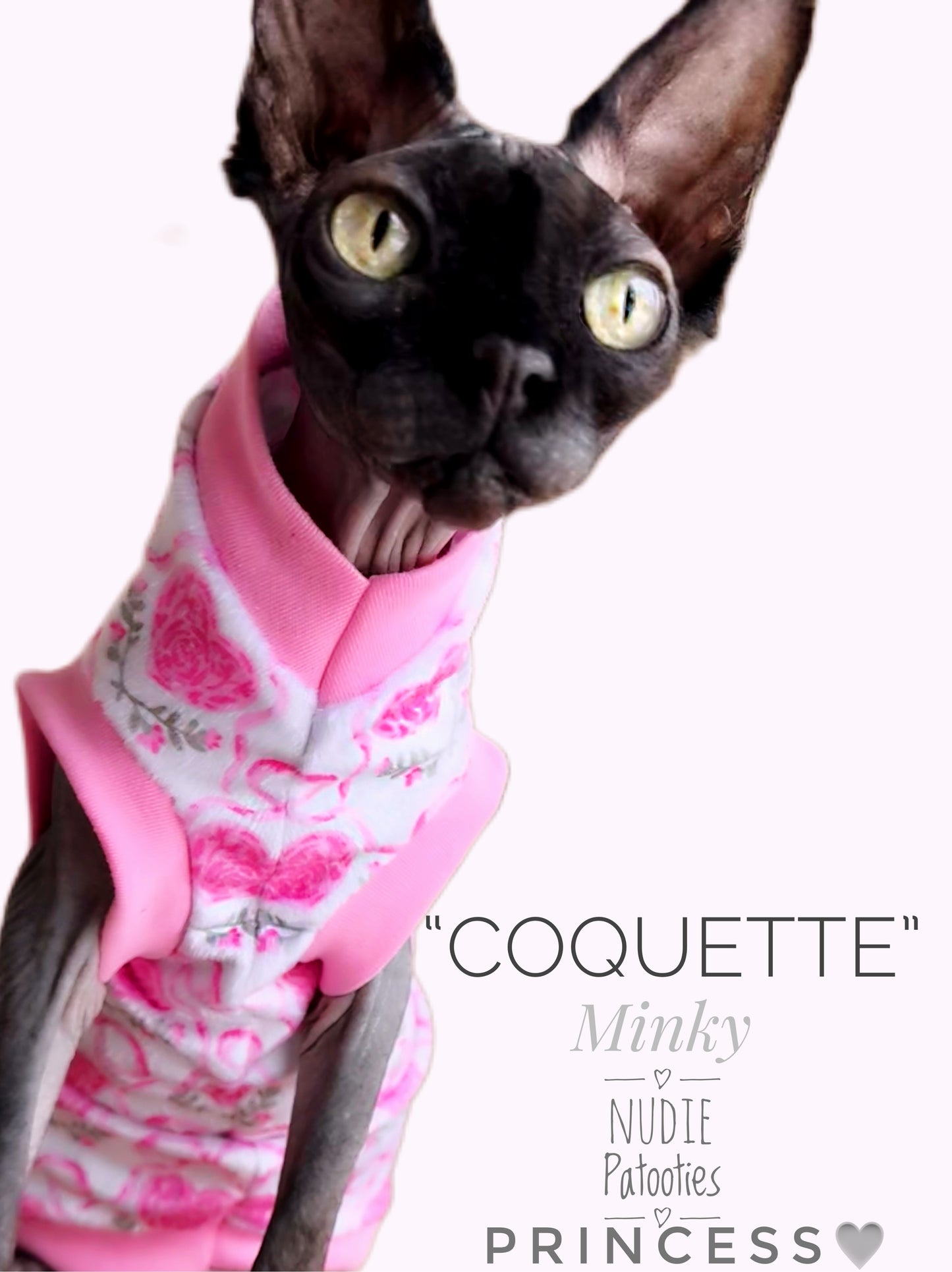 Valentine sphynx cat and kitten shirt. Best sphynx cat clothes and sweaters.