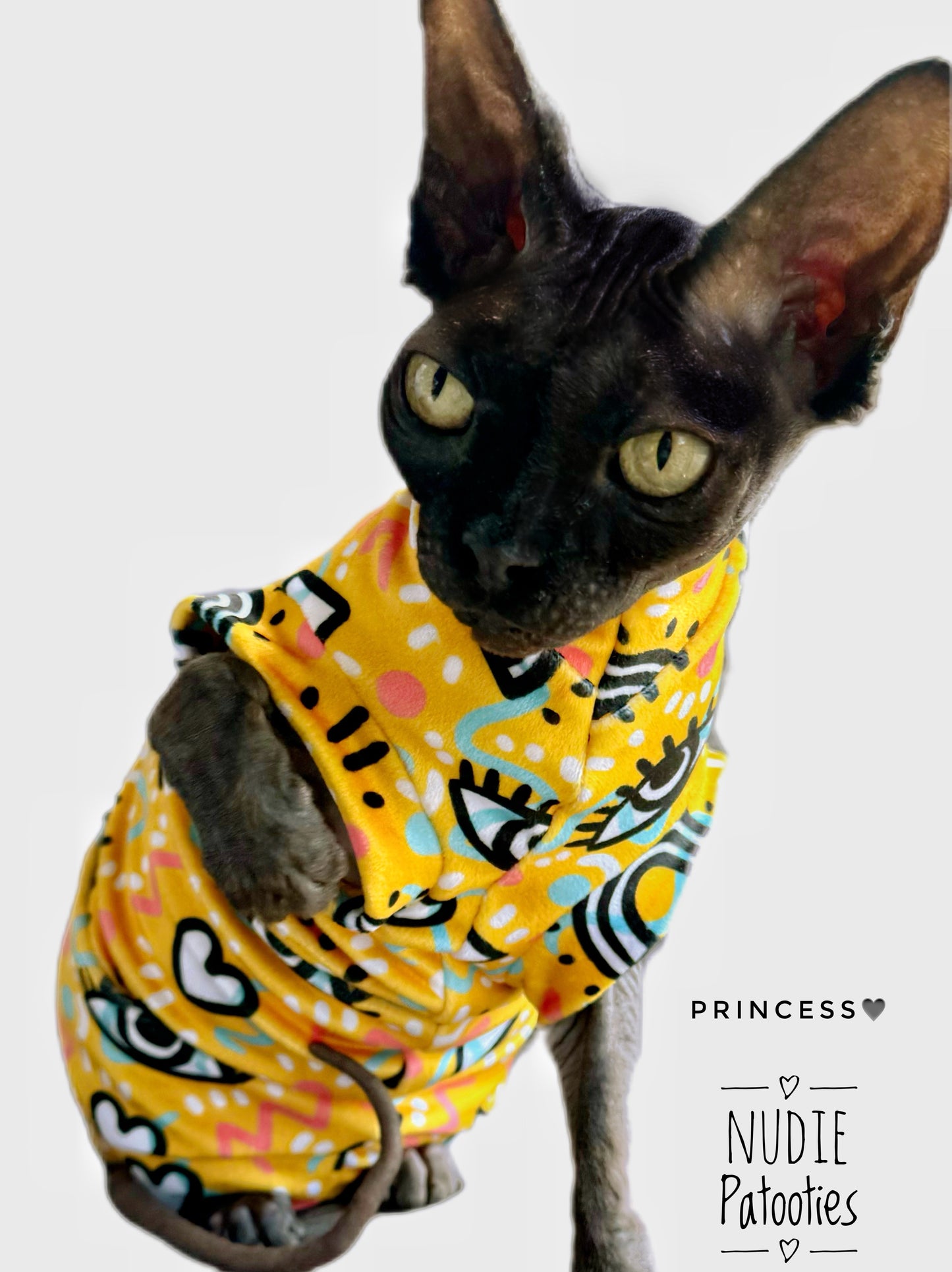 Rainbow velvet sphynx cat shirt. Sphynx cat clothes and clothing.