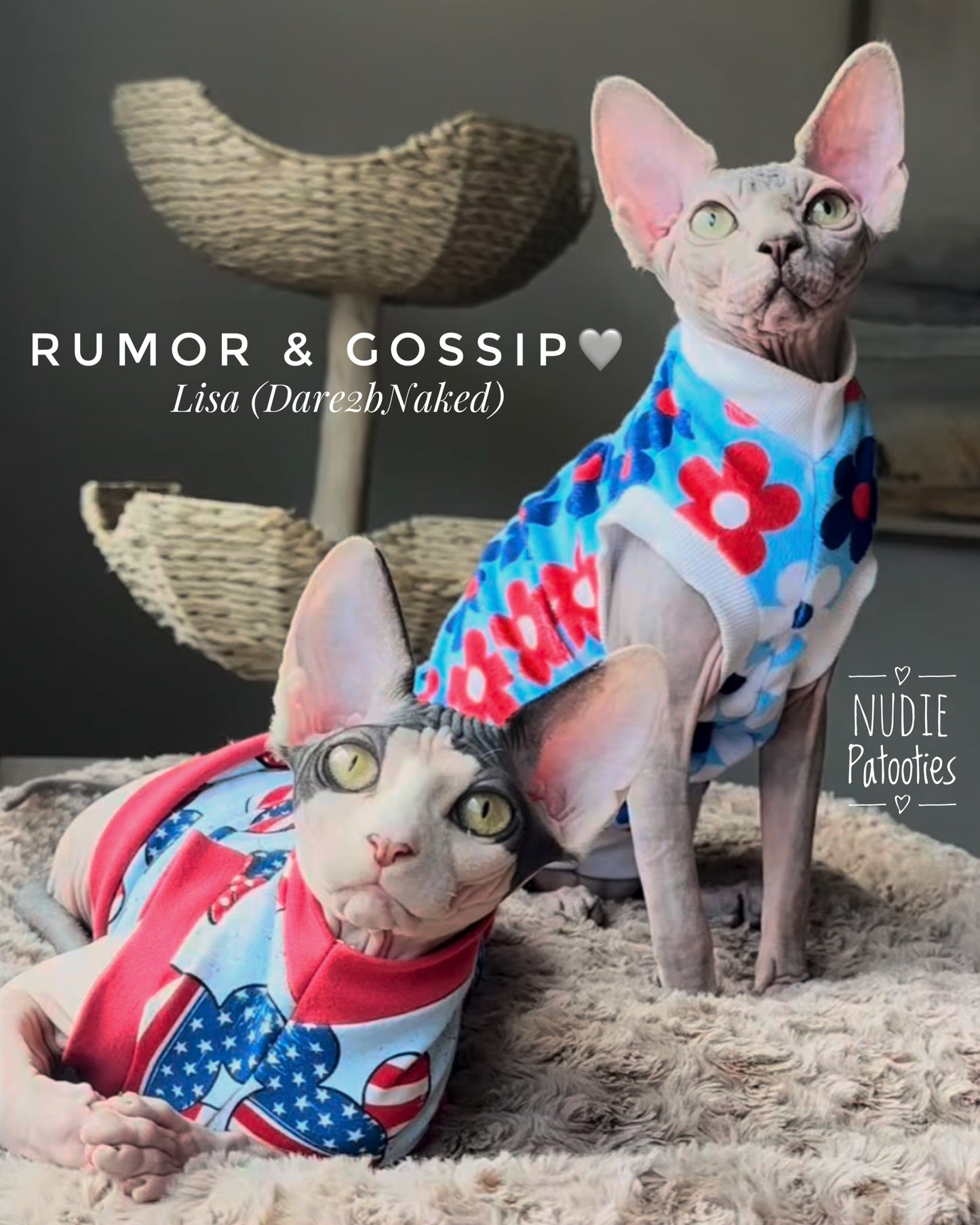 Best sphynx cat and kitten clothes, shirts and swag