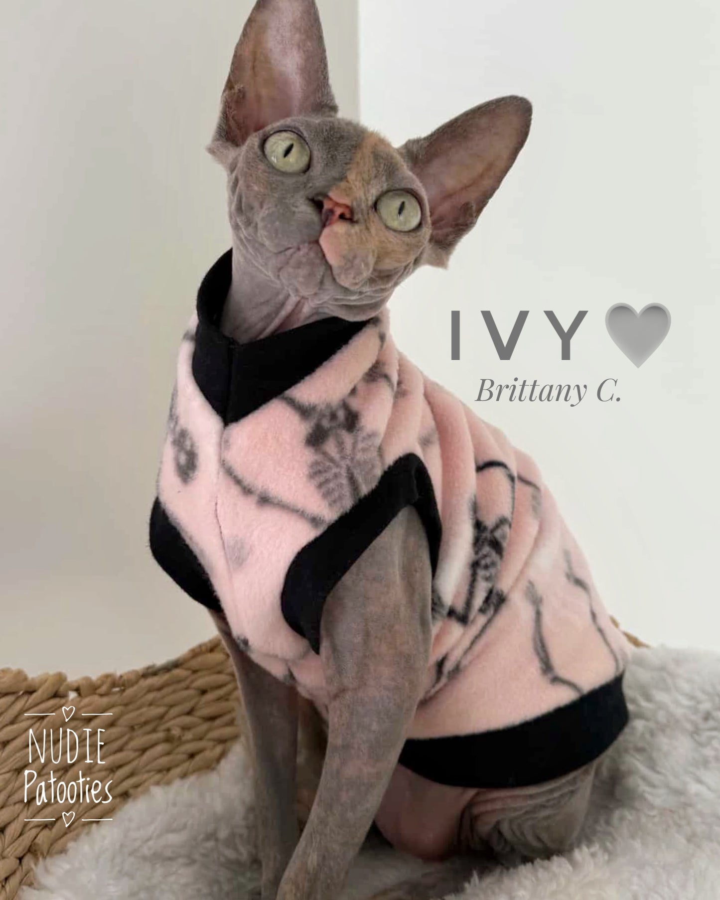 Best Sphynx cat clothing. Hairless cat apparel. Sphynx cat sweaters. Cat clothes for hairless cats. Warm sphynx cat outfits. Sphynx cat hoodies. Cozy cat wear. Cat shirts for Sphynx. Pet clothing for Sphynx cats. Winter clothes for sphynx cats. Sphynx cat fashion. Hairless cat t-shirts. Soft cat jumpers. Seasonal cat clothing.
