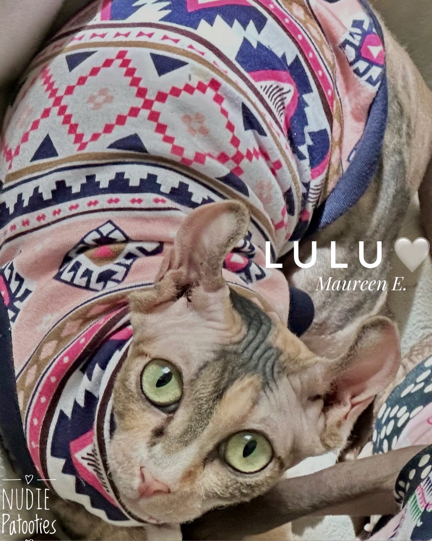 Sphynx cat cotton shirt. Sphynx cat clothes