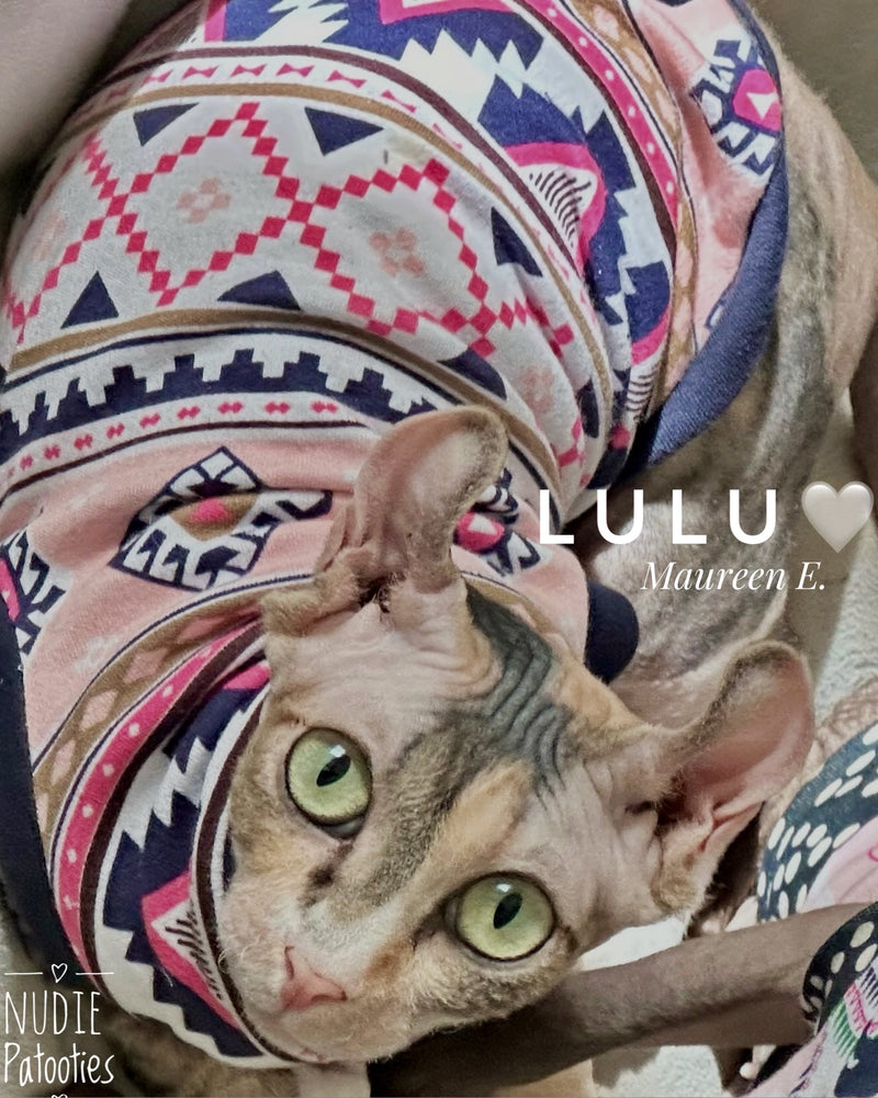 Sphynx cat cotton shirt. Sphynx cat clothes