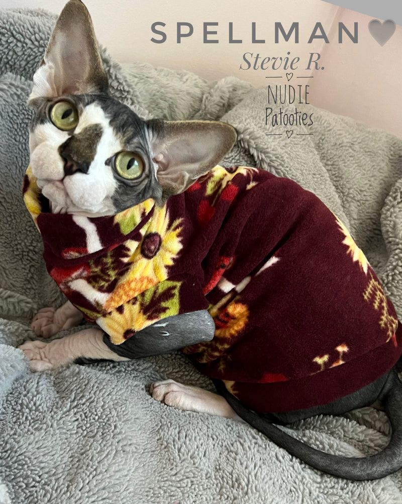 sphynx cat and kitten shirt. sphynx cat clothes