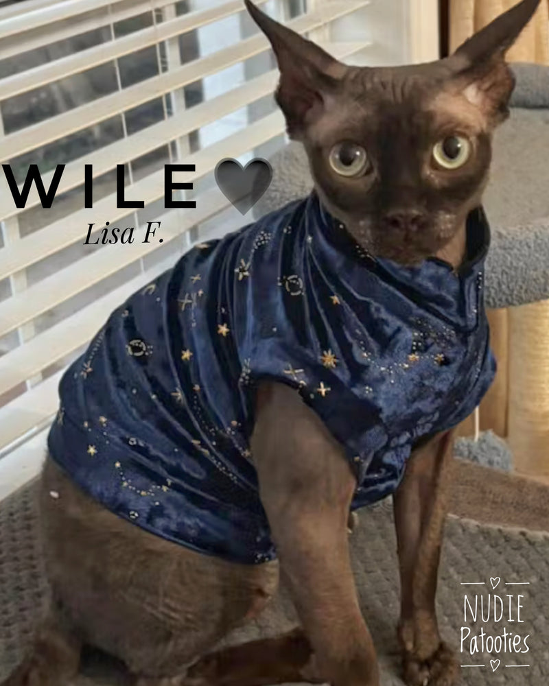 sphynx cat and kitten shirt. sphynx cat clothes