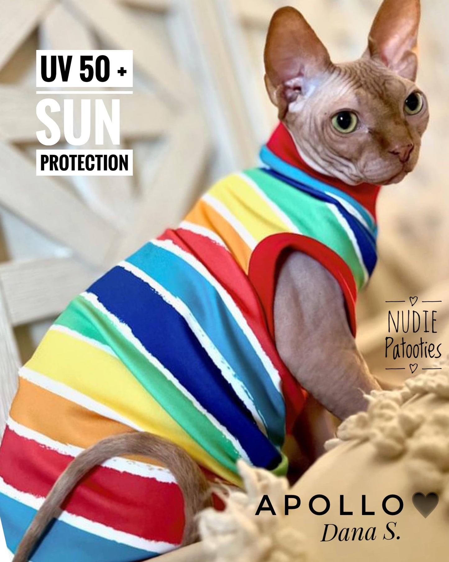 UV 50 + sun protection shirt for sphynx cat and kitten. Sphynx cat clothes.