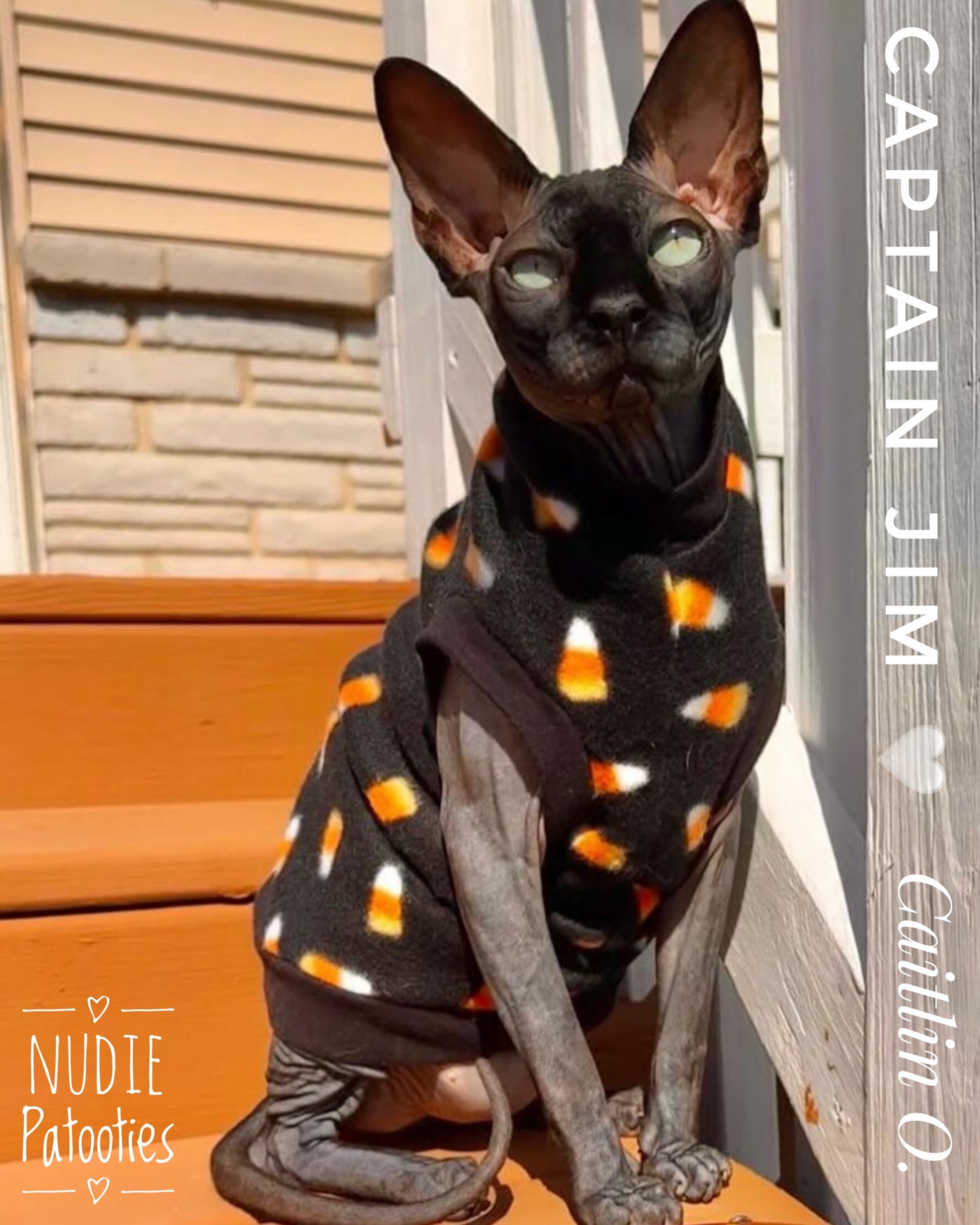 Best Sphynx cat clothing. Hairless cat apparel. Sphynx cat sweaters. Cat clothes for hairless cats. Warm sphynx cat outfits. Sphynx cat hoodies. Cozy cat wear. Cat shirts for Sphynx. Pet clothing for Sphynx cats. Winter clothes for sphynx cats. Sphynx cat fashion. Hairless cat t-shirts. Soft cat jumpers. Seasonal cat clothing.