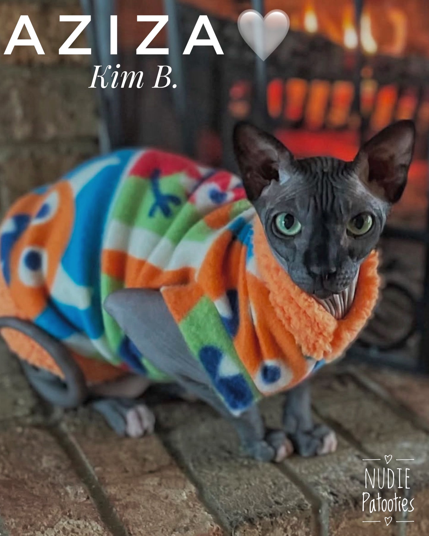 Sphynx cat and kitten fleece shirt. sphynx cat clothes Sphynx cat monster shirt. Best Sphynx cat clothes.