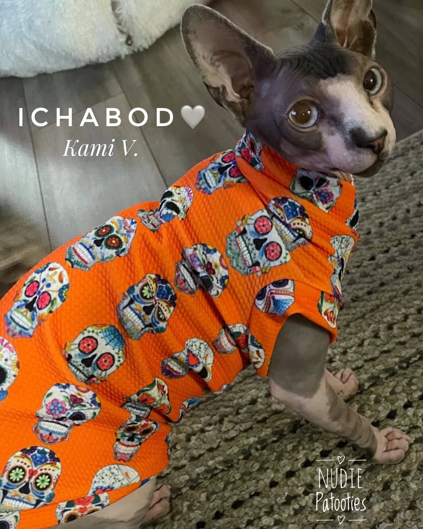 Best Sphynx cat clothing. Hairless cat apparel. Sphynx cat sweaters. Cat clothes for hairless cats. Warm sphynx cat outfits. Sphynx cat hoodies. Cozy cat wear. Cat shirts for Sphynx. Pet clothing for Sphynx cats. Winter clothes for sphynx cats. Sphynx cat fashion. Hairless cat t-shirts. Soft cat jumpers. Seasonal cat clothing.