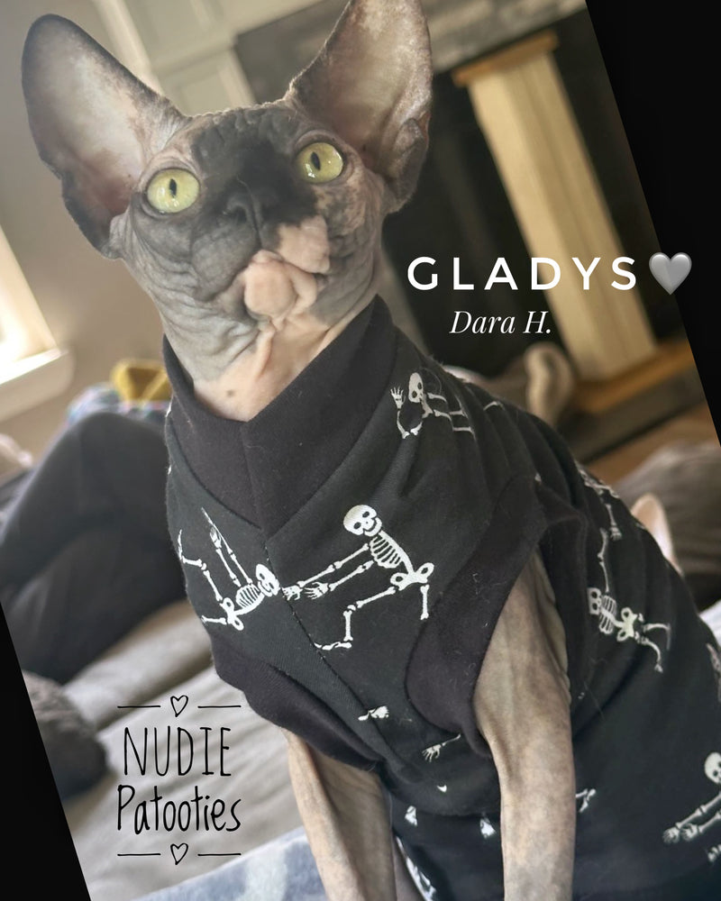 Sphynx cat and kitten skeleton shirt. Sphynx cat and kitten shirt. Best sphynx cat and kitten clothes, shirts and swag.