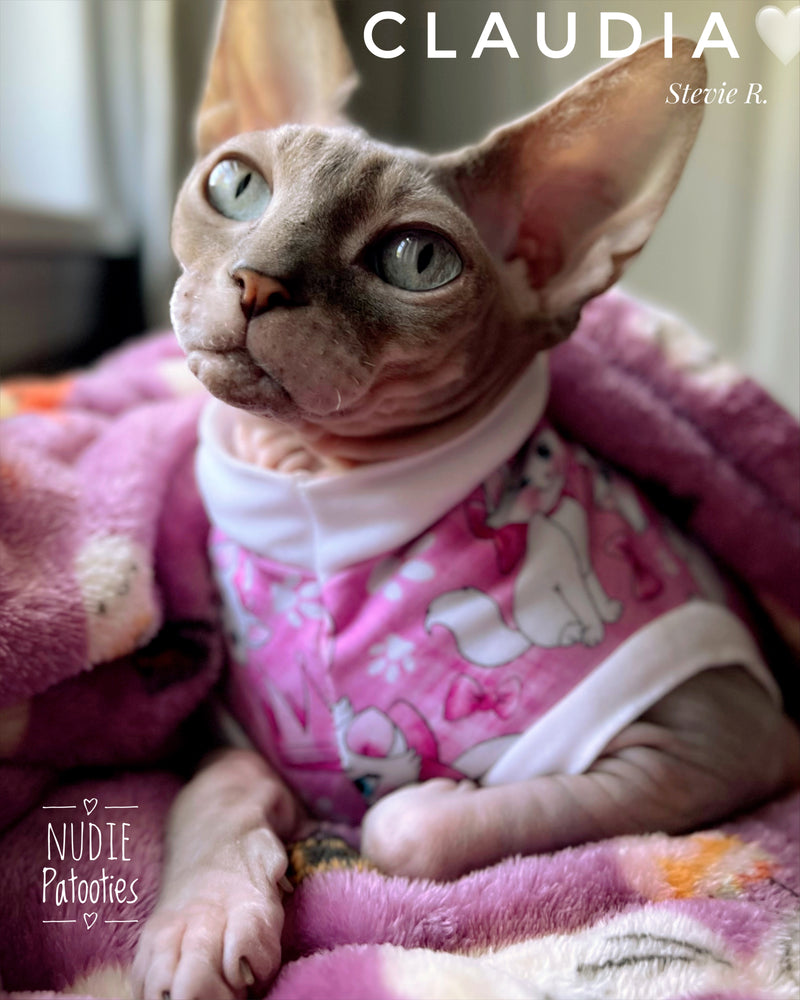 sphynx cat and kitten sweater shirt. Sphynx cat clothes.