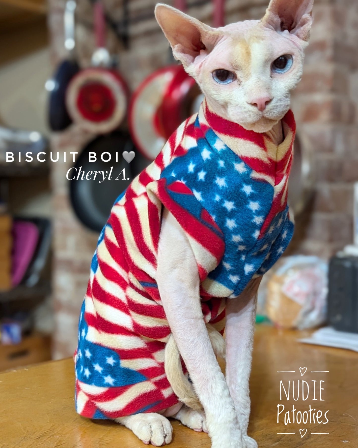 4th of July patriotic Flag fleece shirt for sphynx cat. Sphynx cat clothes.