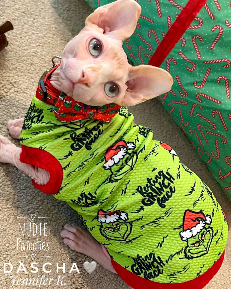 Sphynx cat and kitten Christmas shirt. Sphynx cat clothes.