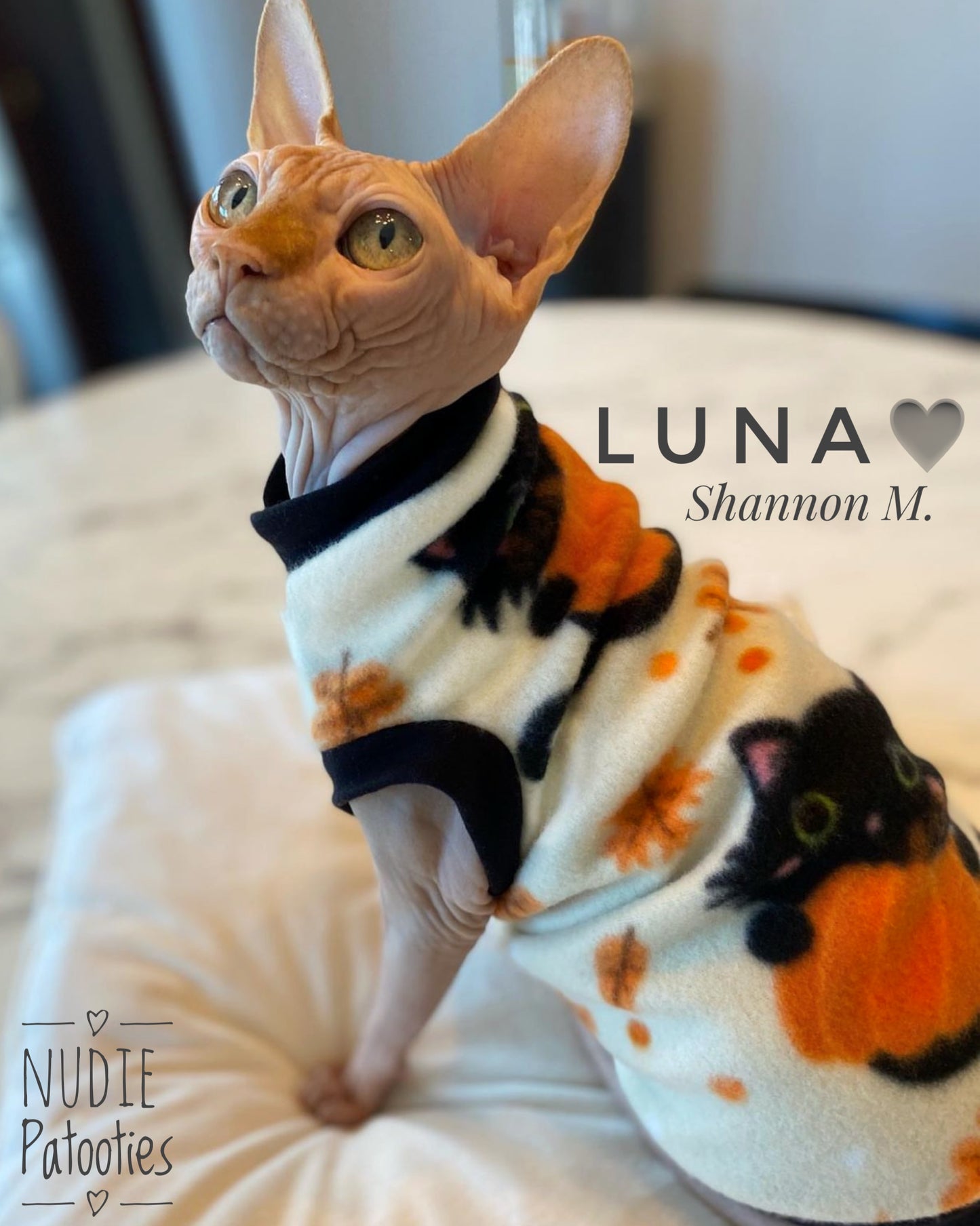 Sohynx Cat and Kitten Fleece Shirt. Sphynx Cat Clothes