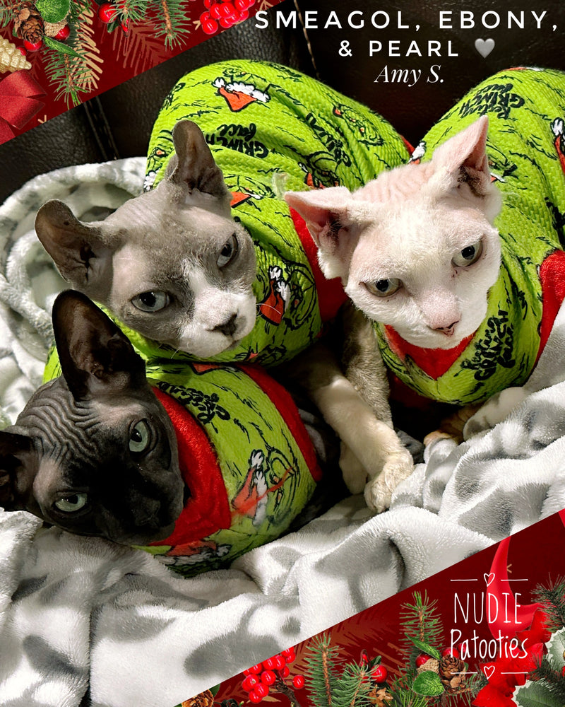 Sphynx cat and kitten Christmas shirt. Sphynx cat clothes.