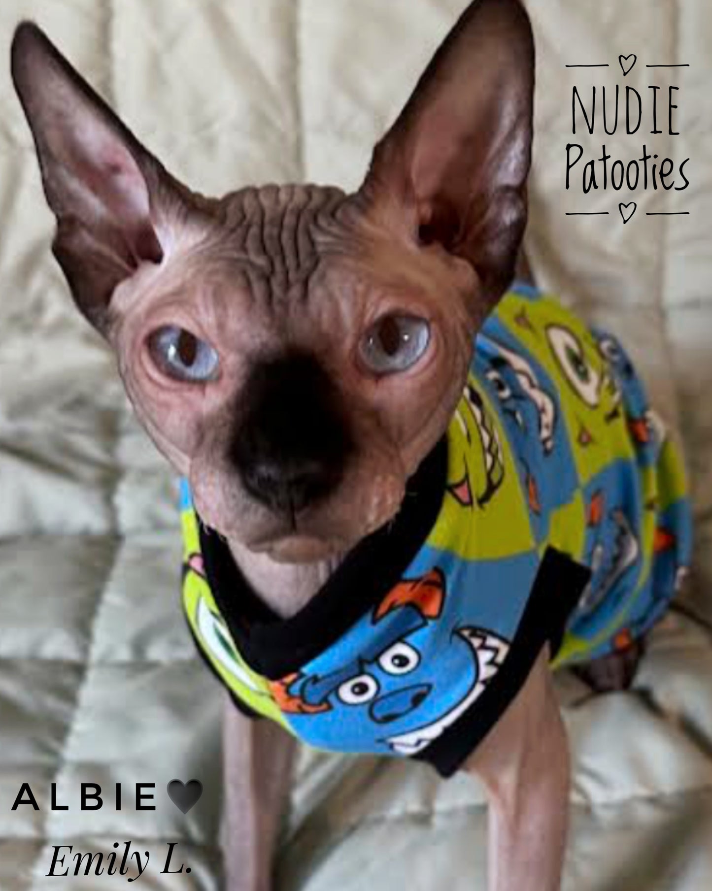 Sphynx cat and kitten shirt. Sphynx cat clothes.