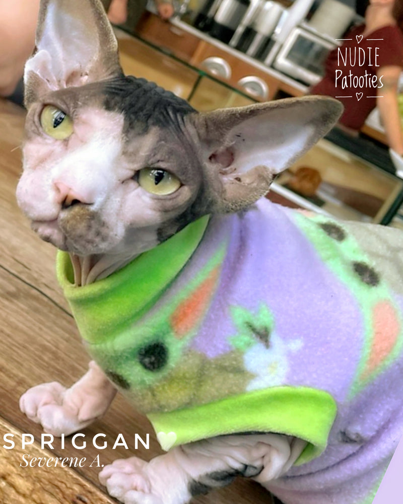 Sphynx cat and kitten fleece shirt. Sphynx cat clothes.