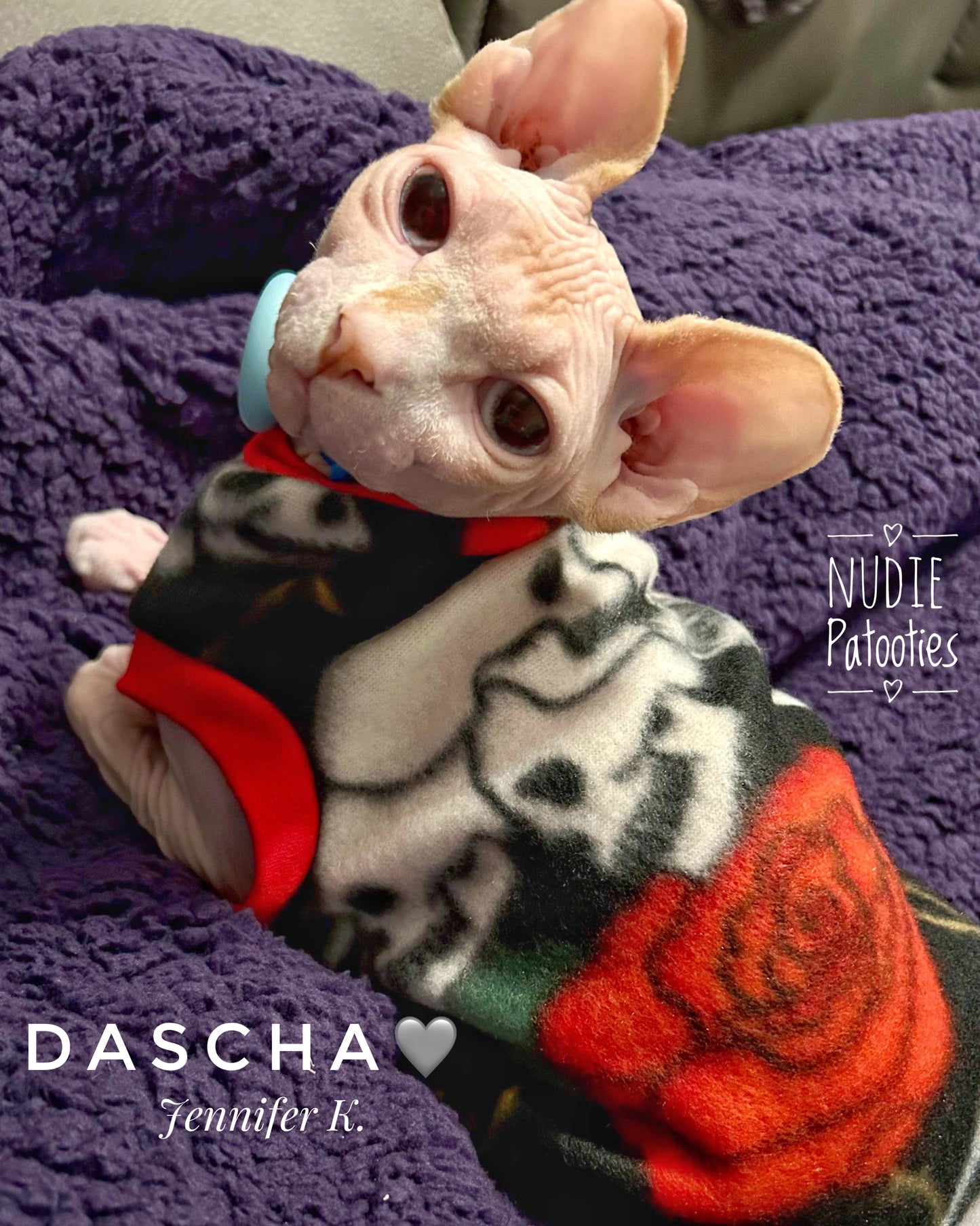 Sphynx cat and kitten fleece shirt sweater. Sphynx cat clothes
