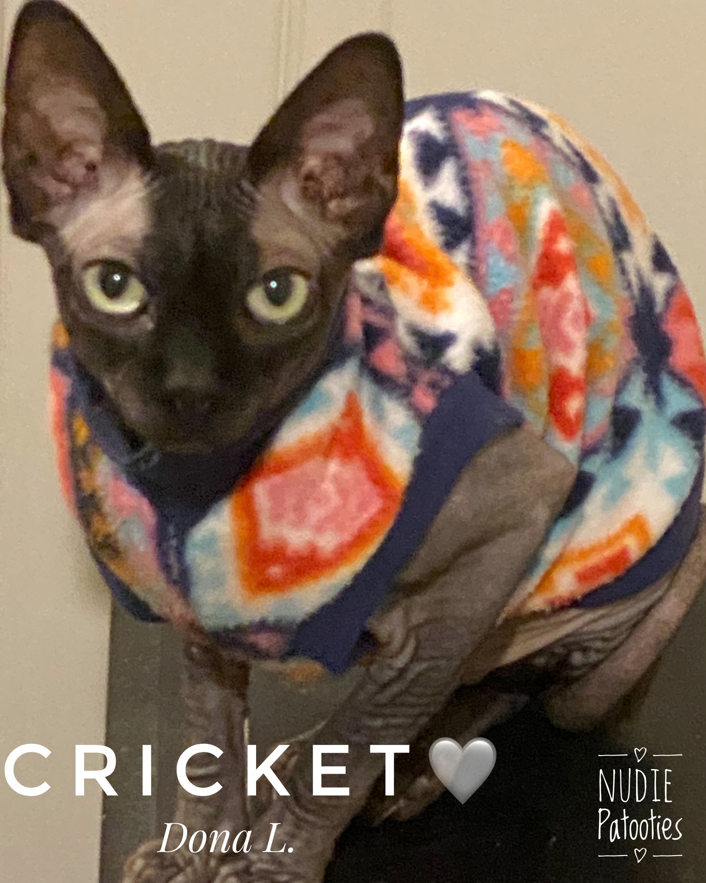 Sphynx cat and kitten shirt sweater. Sphynx cat clothes.