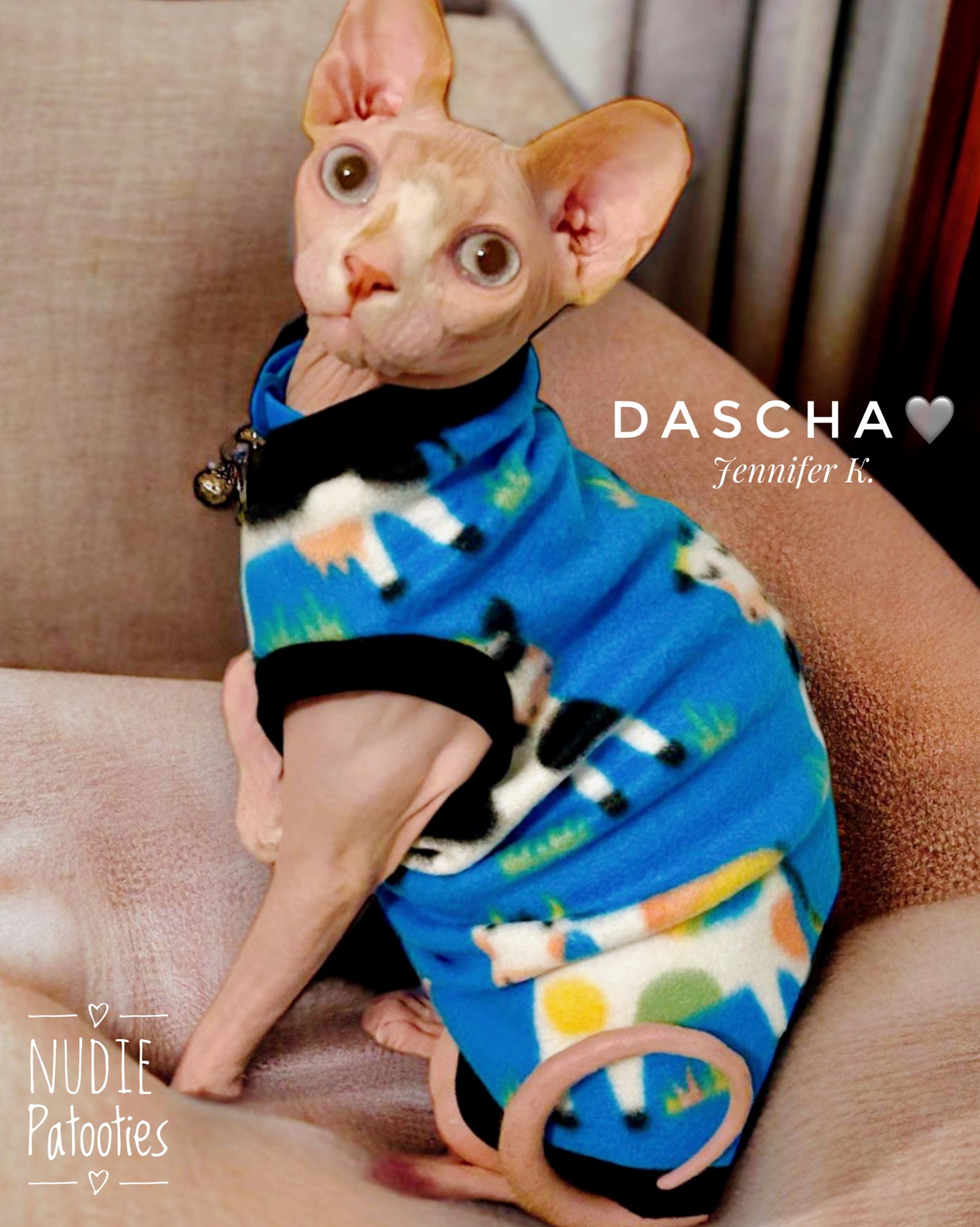 Sphynx cat and kitten warm fleece shirt. Sphynx cat clothes.