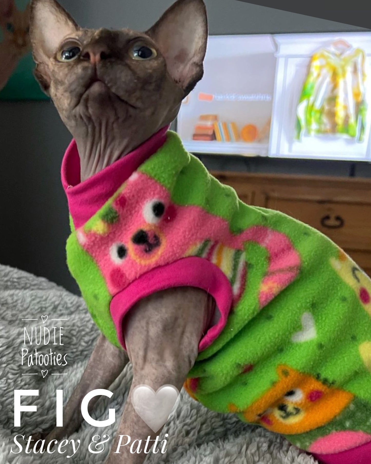 Sphynx cat and kittwn shirt. Sphynx cat clothes