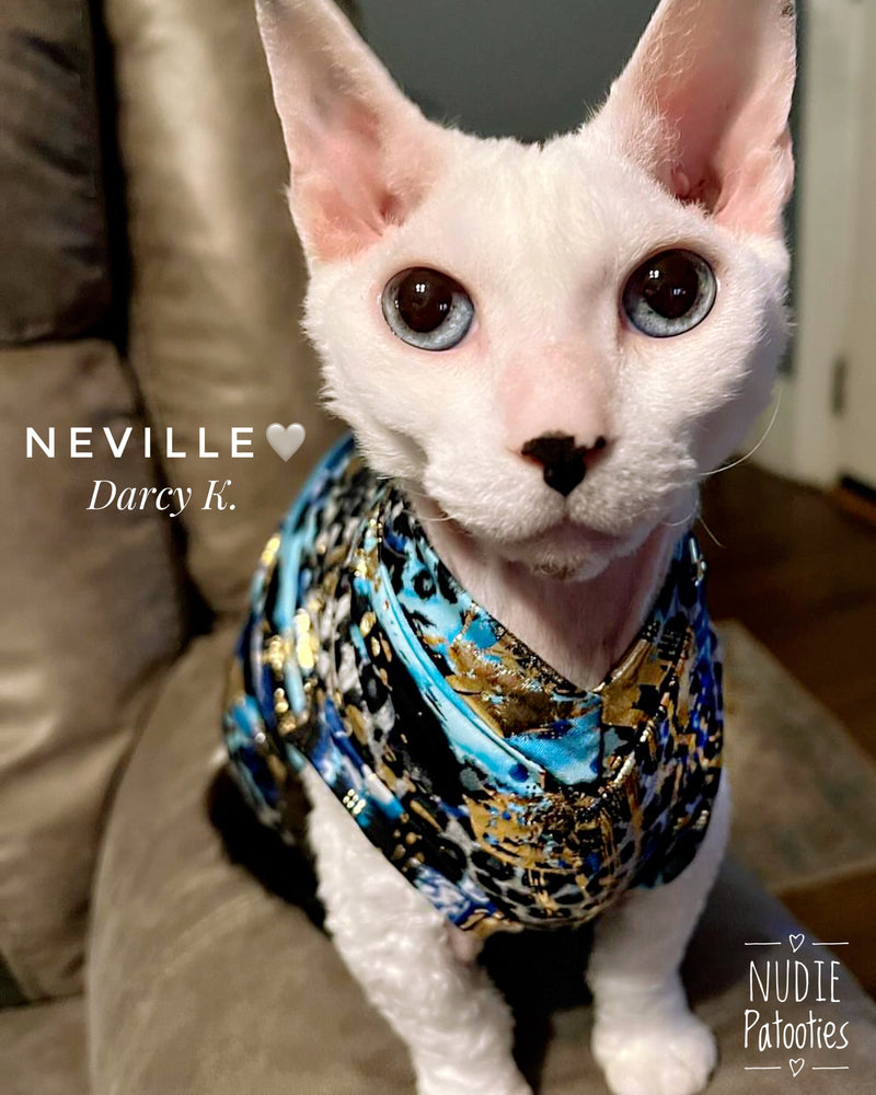 Sphynx cat and kitten shirt. Sphynx cat clothes.