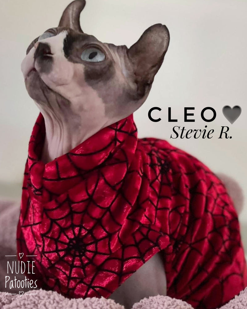 velvet sphynx cat and kitten shirt. sphynx cat clothes