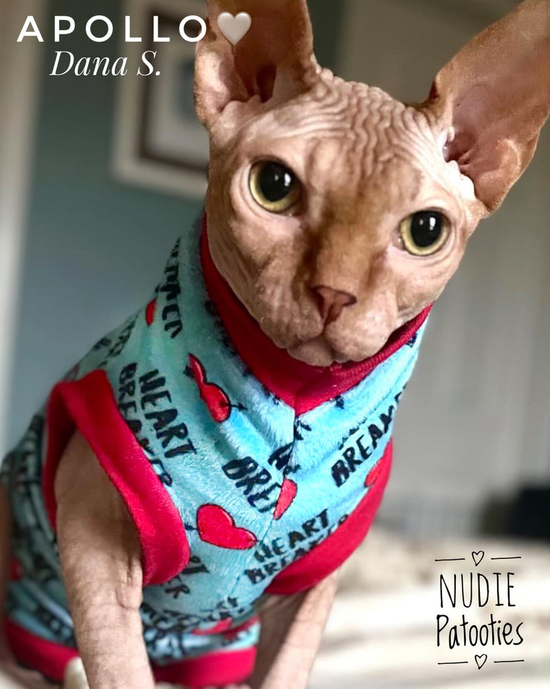 Sphynx cat and kitten shirt. Sphynx cat clothes.