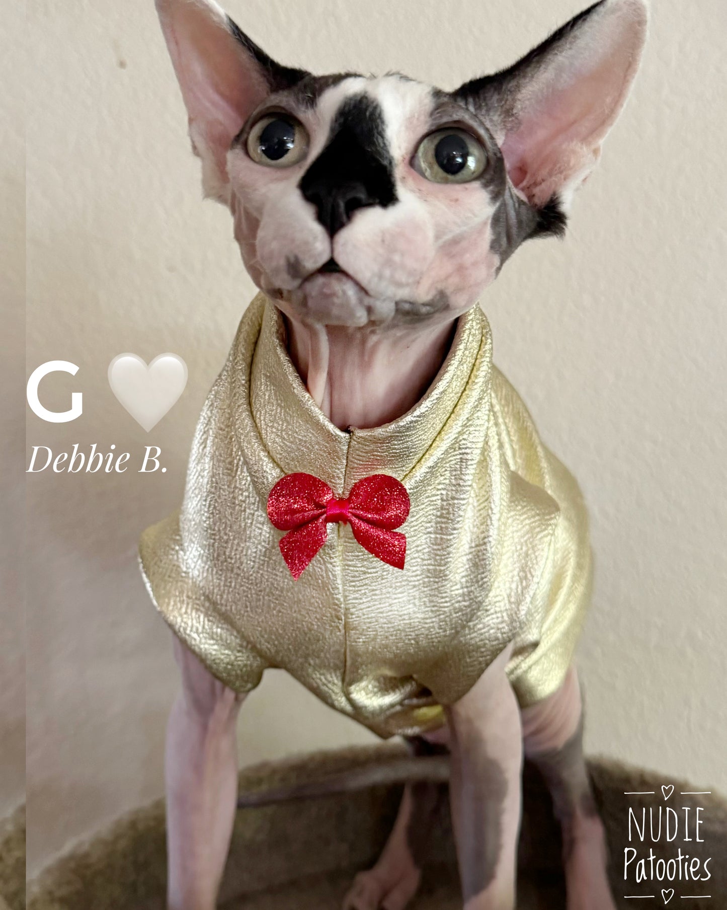 Sphynx cat and kitten shirt. Sphynx cat clothes