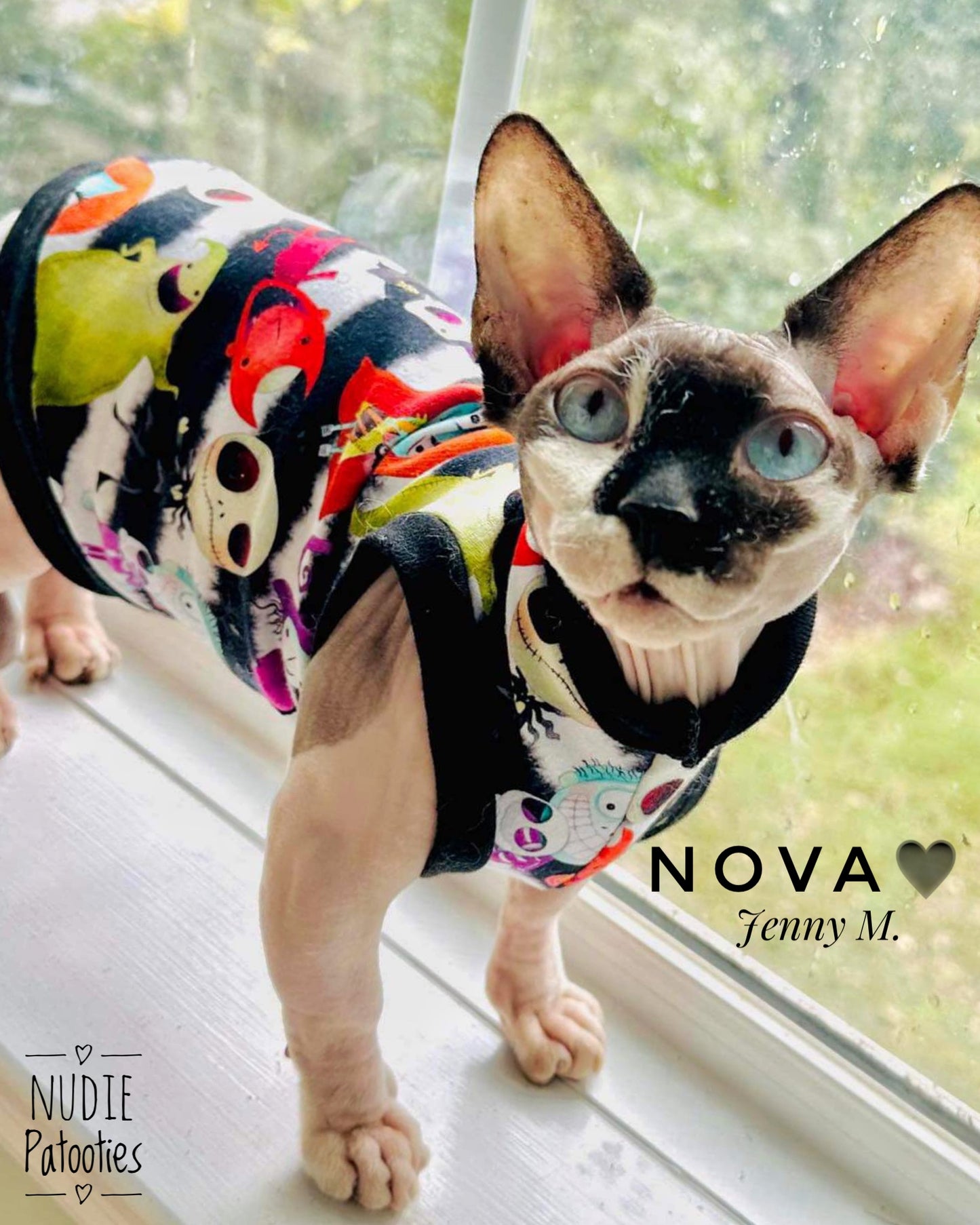 Best Sphynx cat clothing. Hairless cat apparel. Sphynx cat sweaters. Cat clothes for hairless cats. Warm sphynx cat outfits. Sphynx cat hoodies. Cozy cat wear. Cat shirts for Sphynx. Pet clothing for Sphynx cats. Winter clothes for sphynx cats. Sphynx cat fashion. Hairless cat t-shirts. Soft cat jumpers. Seasonal cat clothing.