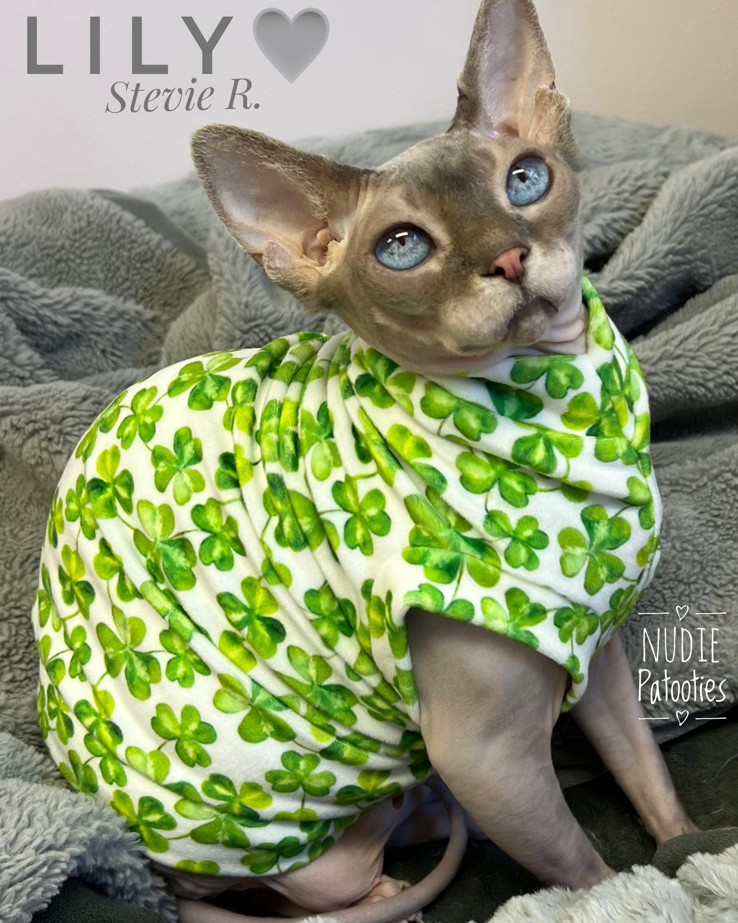 sphynx cat and kitten shirt.  sphynx cat clothes