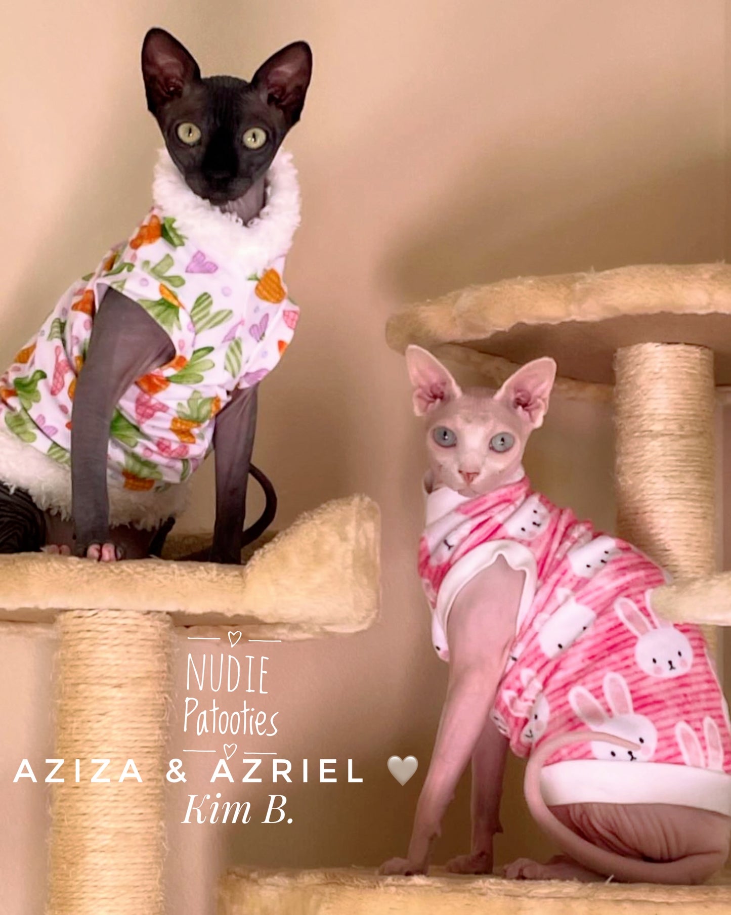 Sphynx cat Easter shirt with carrots, hearts and fur trim. Sphynx cat clothes