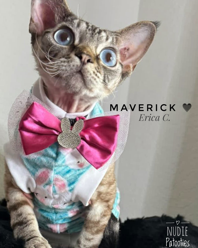 Sphynx cat and kitten minky Easter shirt. sphynx cat clothes