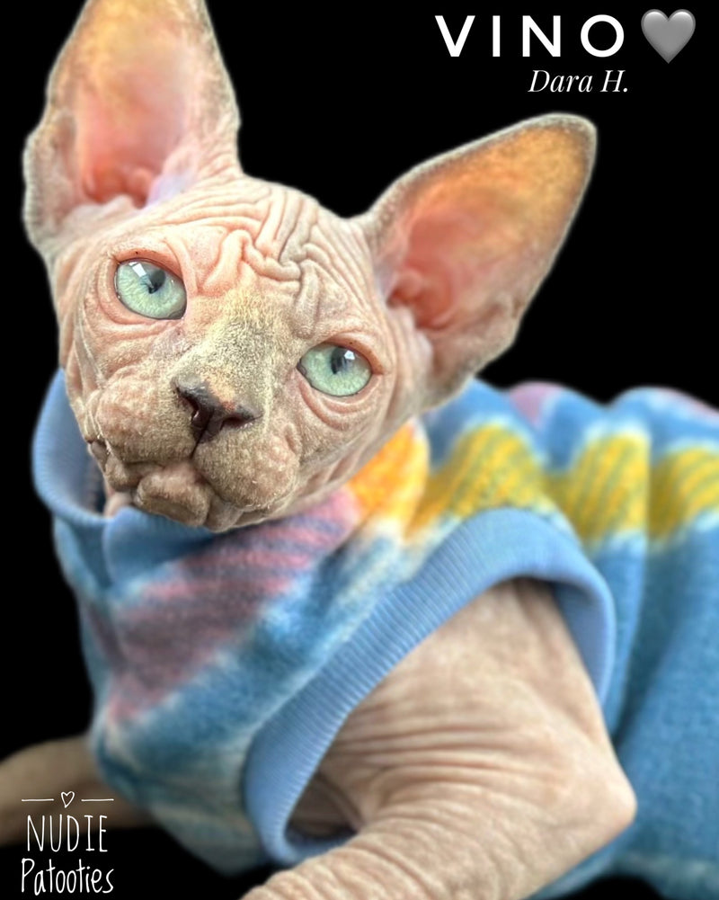 Sphynx cat and kitten shirt. Best sphynx cat and kitten clothes, shirts and swag.