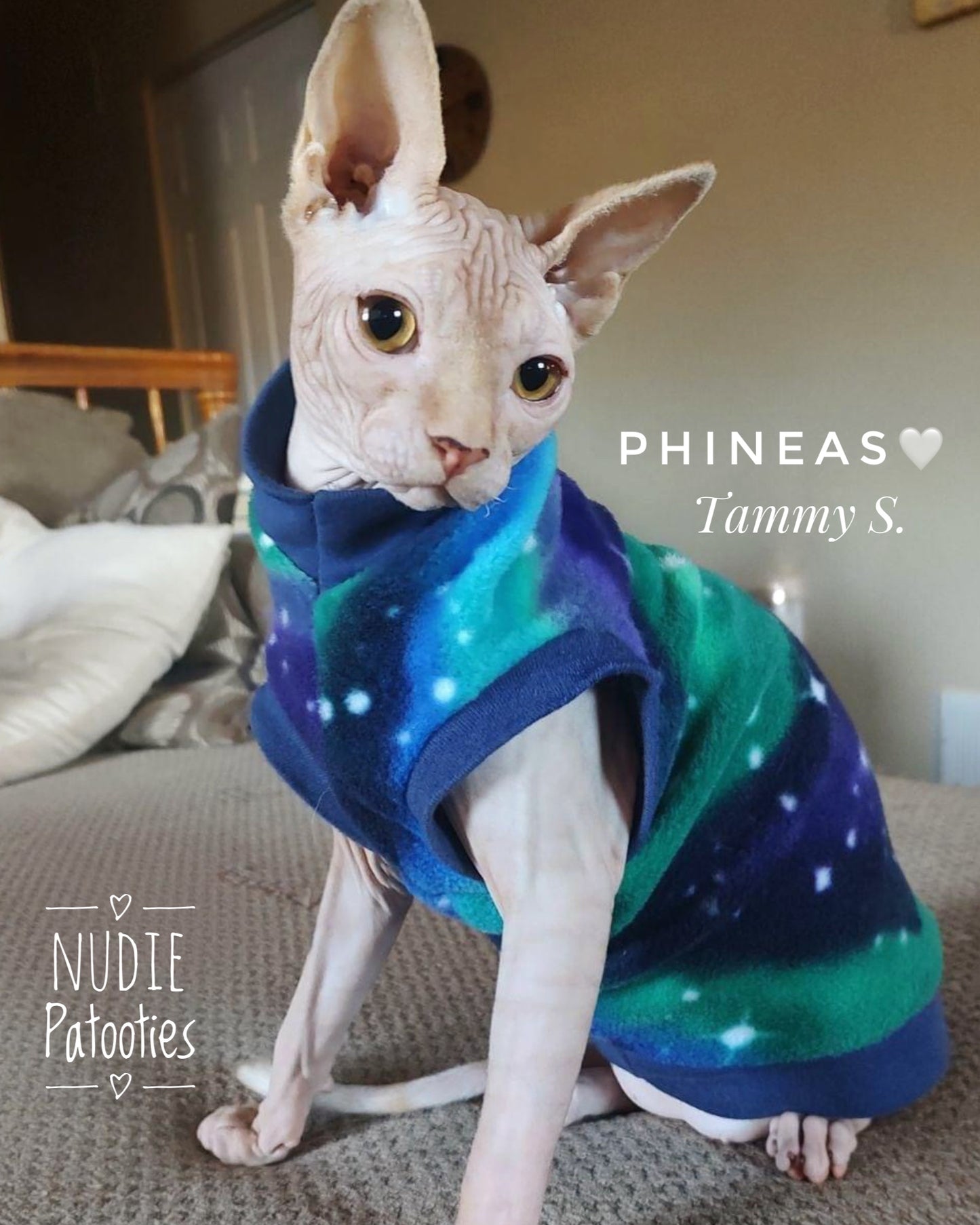 Blue, Purple, Green Galaxy Fleece "Northern Lights"