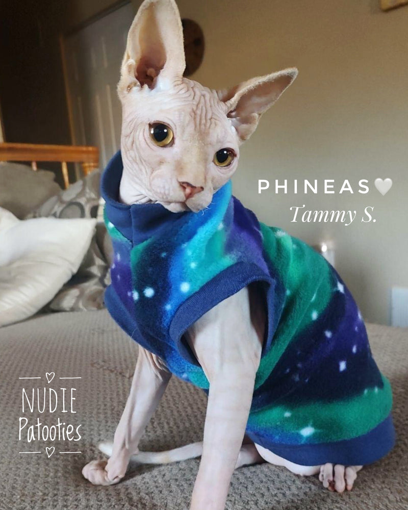 Blue, Purple, Green Galaxy Fleece "Northern Lights"