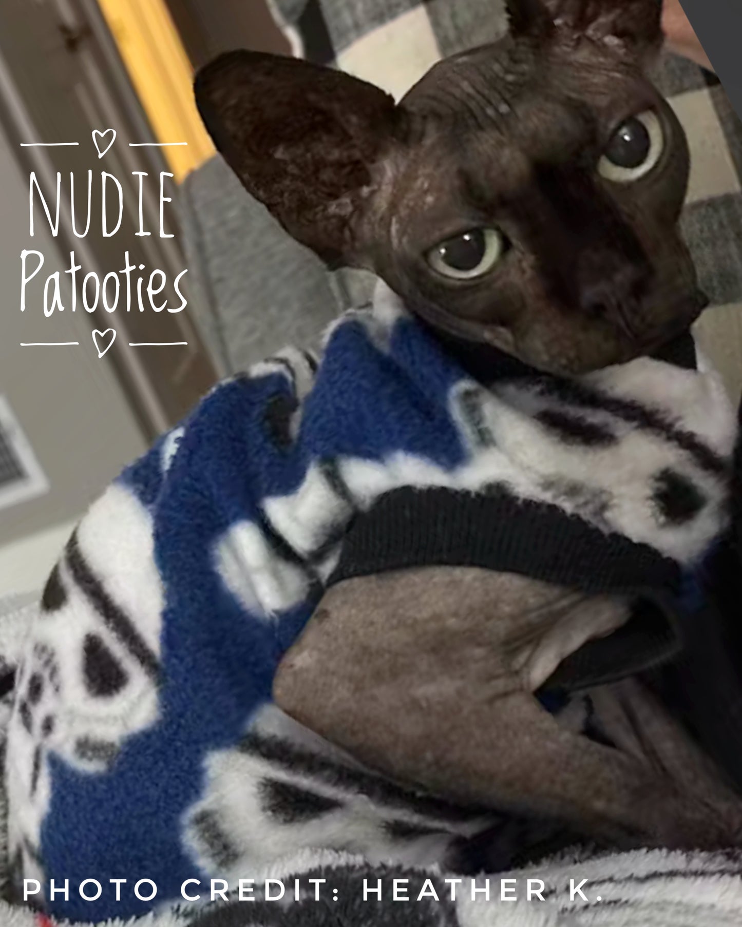Best sphynx cat shirts, clothes and swag