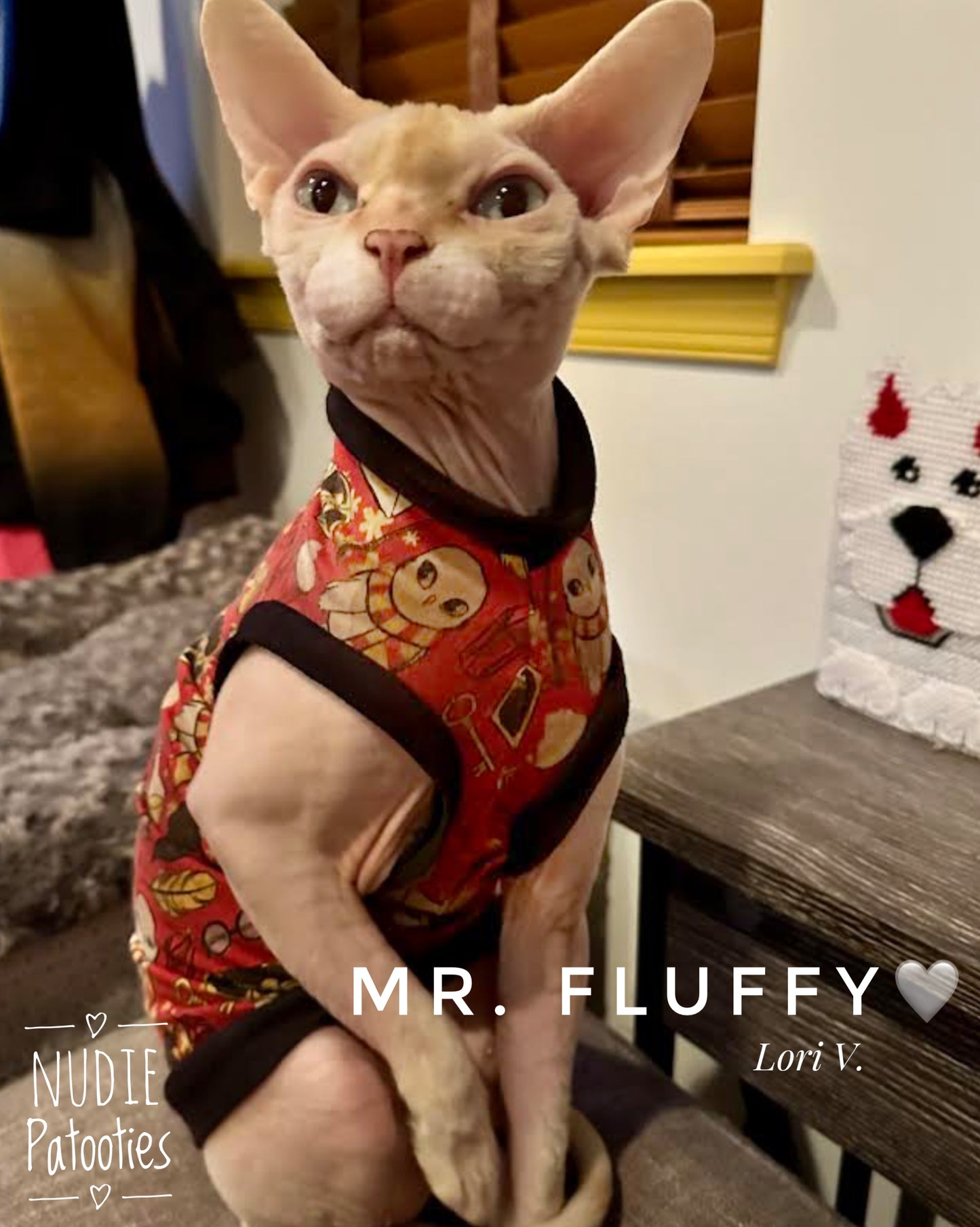 Sphynx cat and kitten shirt. Sphynx cat clothes.