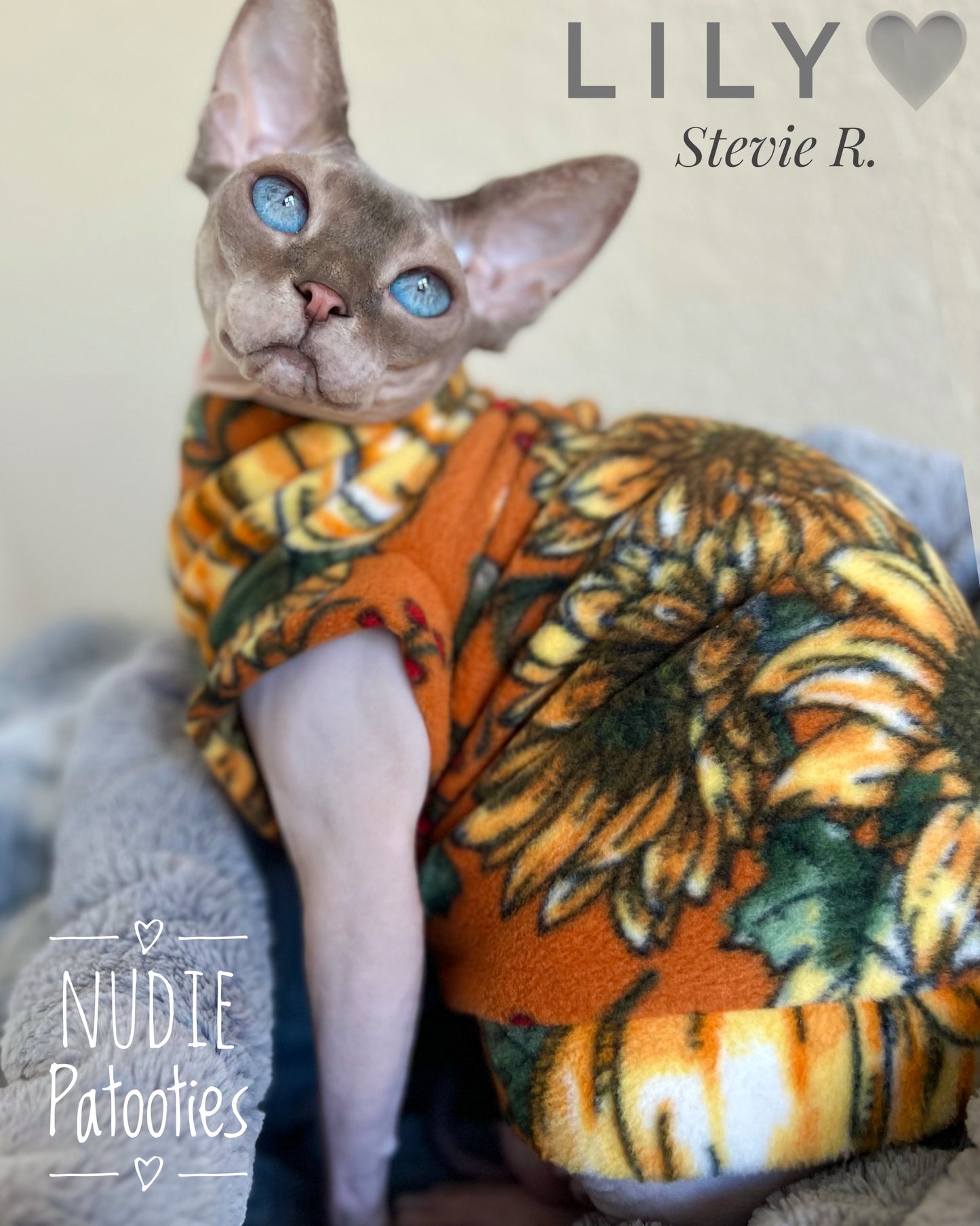 Sphynx cat and kitten fleece shirt. Sphynx cat clothes