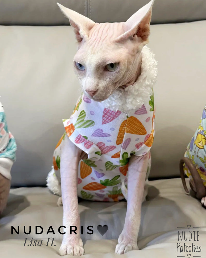 Sphynx cat Easter shirt with carrots, hearts and fur trim. Sphynx cat clothes