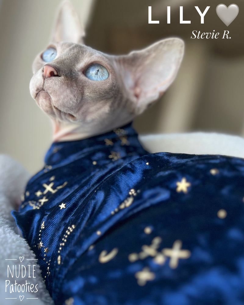 sphynx cat and kitten shirt. sphynx cat clothes